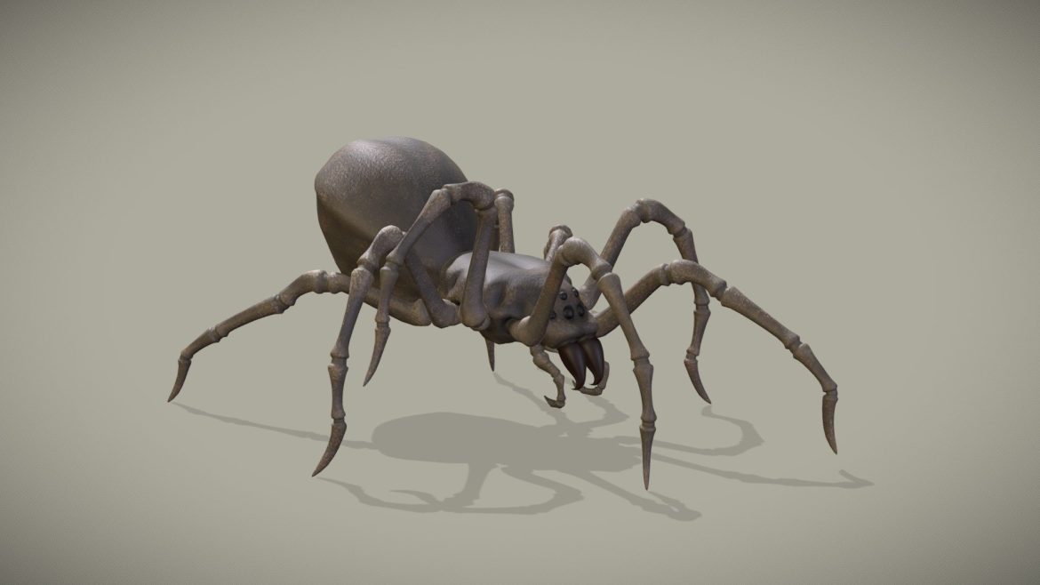 Spider Walk Cycle Animation Deep Dsea