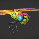 Low poly detailed colorful dragonfly