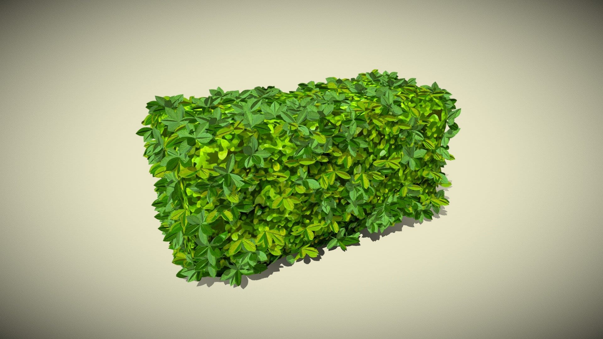 Hedge_Stylized