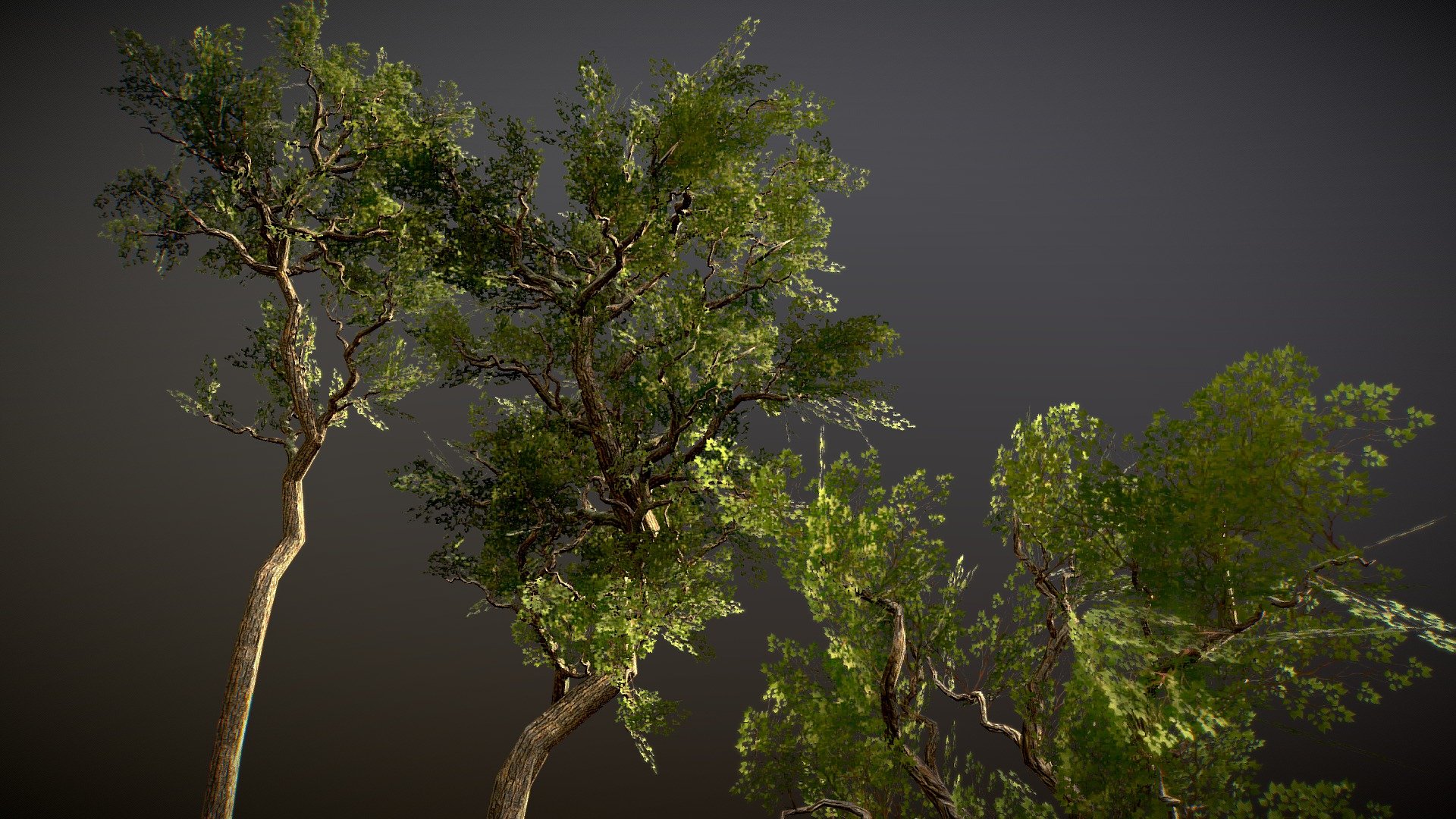 Low Poly Realistic Trees Pack Deep3dsea