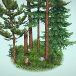 Pixel Art Pine Forest