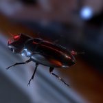 Transform Unicorn Beetle