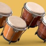 Bongos – Percussion Instrument