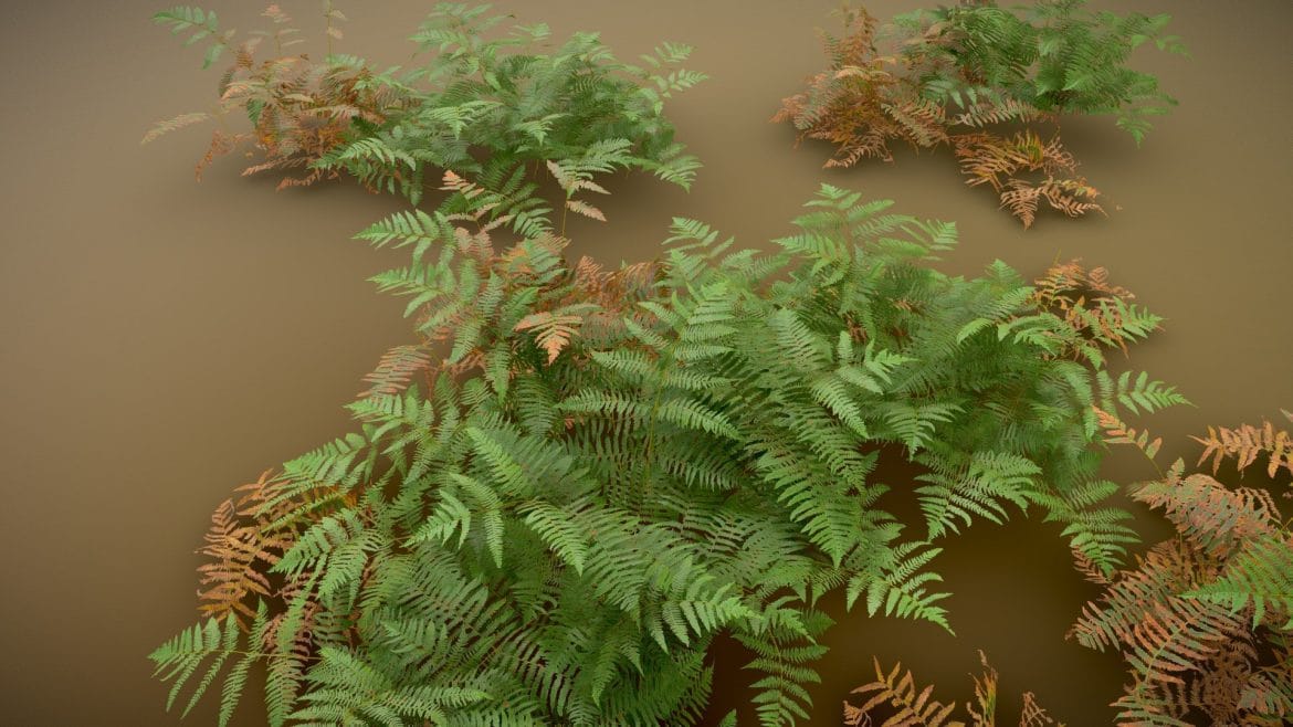 fern forest realistic pbr set collection 3d model