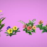 flower pack