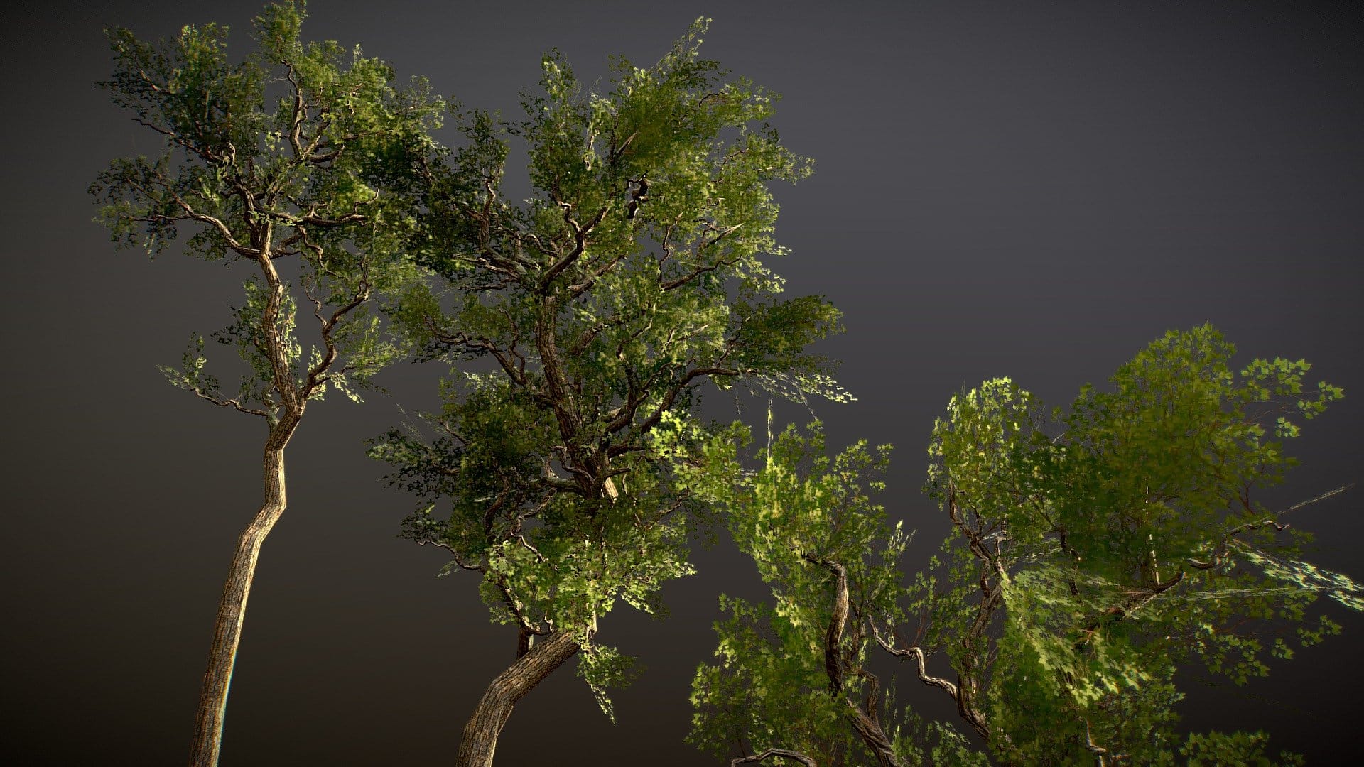 Low poly realistic trees pack