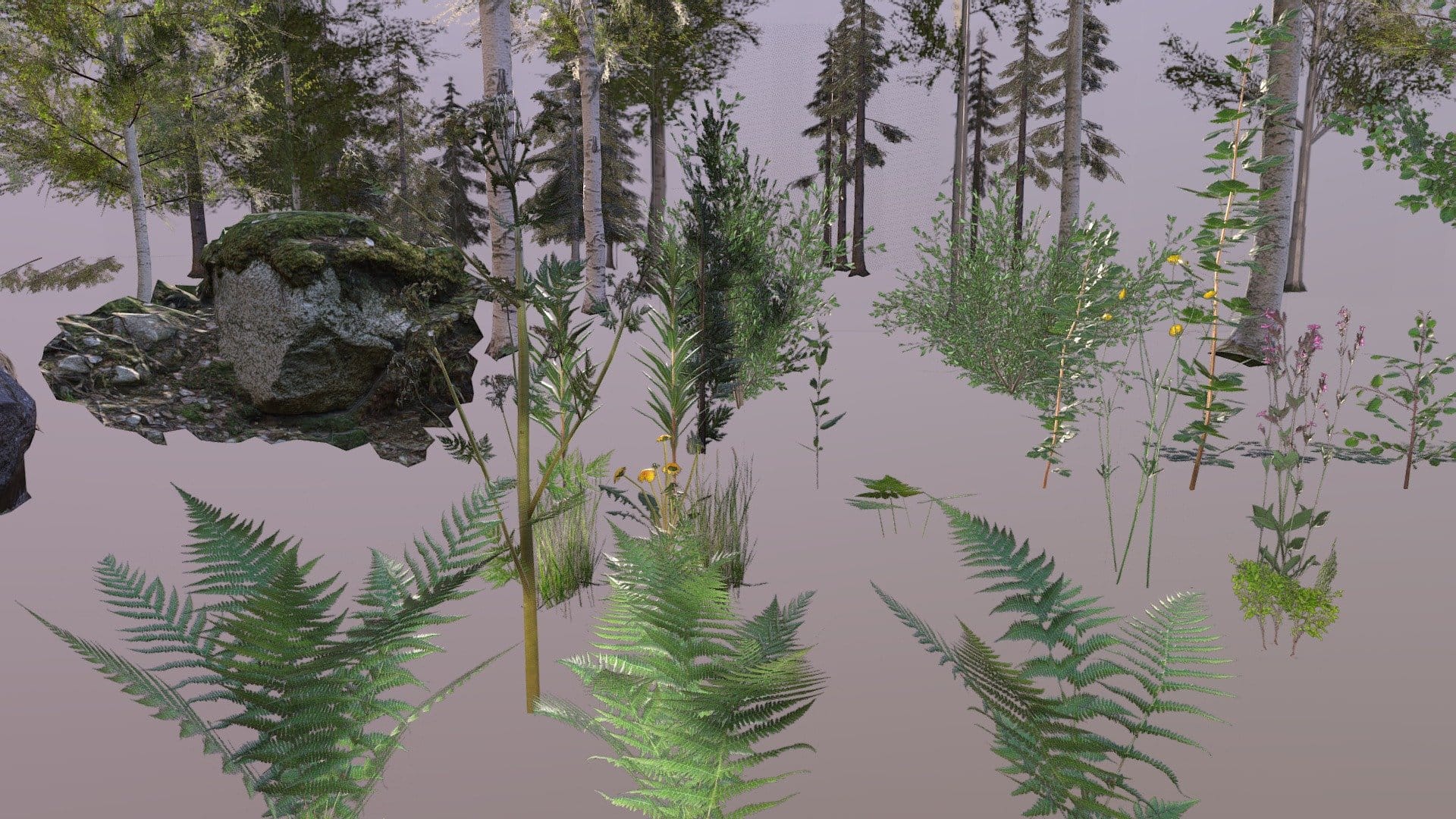 Nature asset