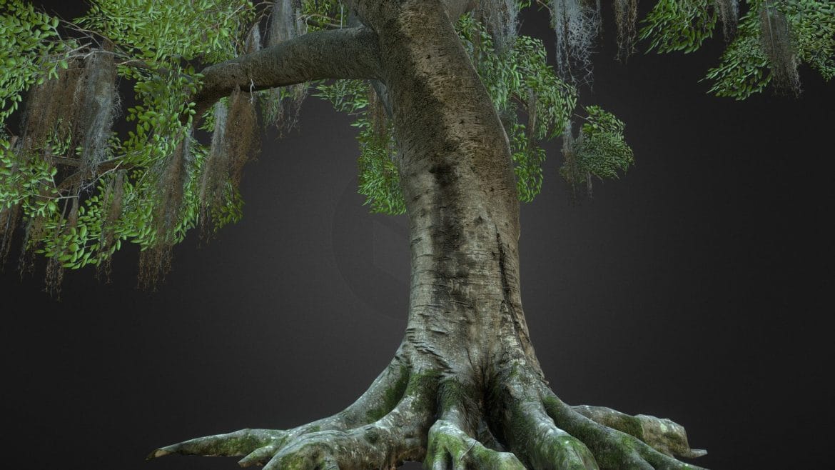 photoscanned beech tree 3d model