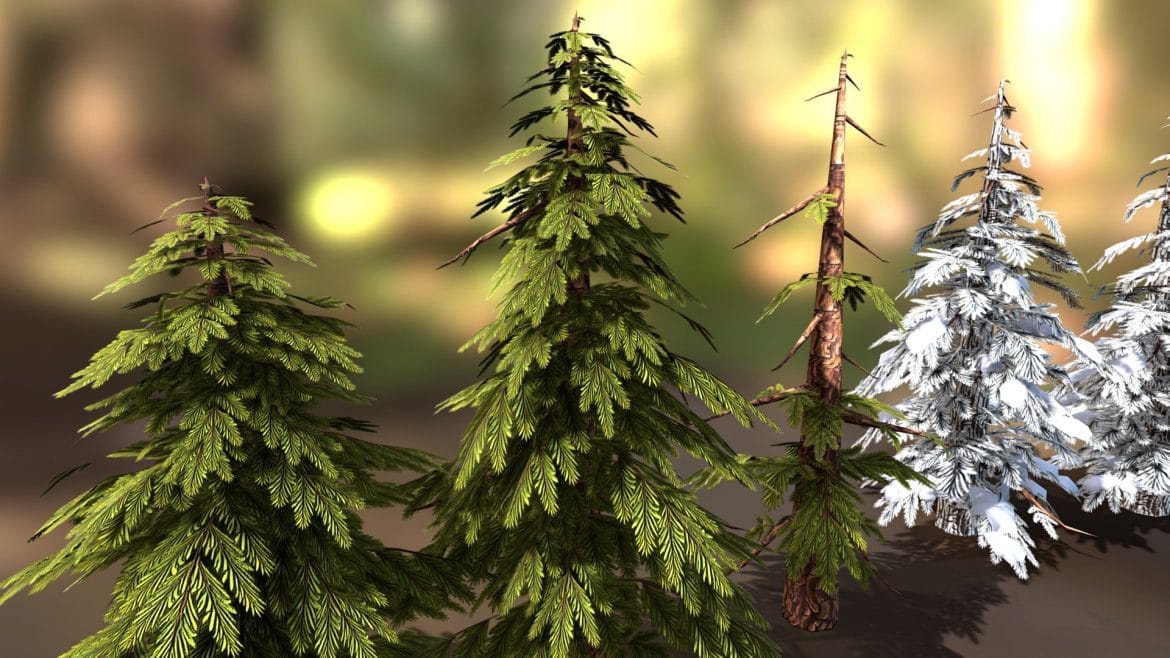 summer amp snowy pine trees 3d model