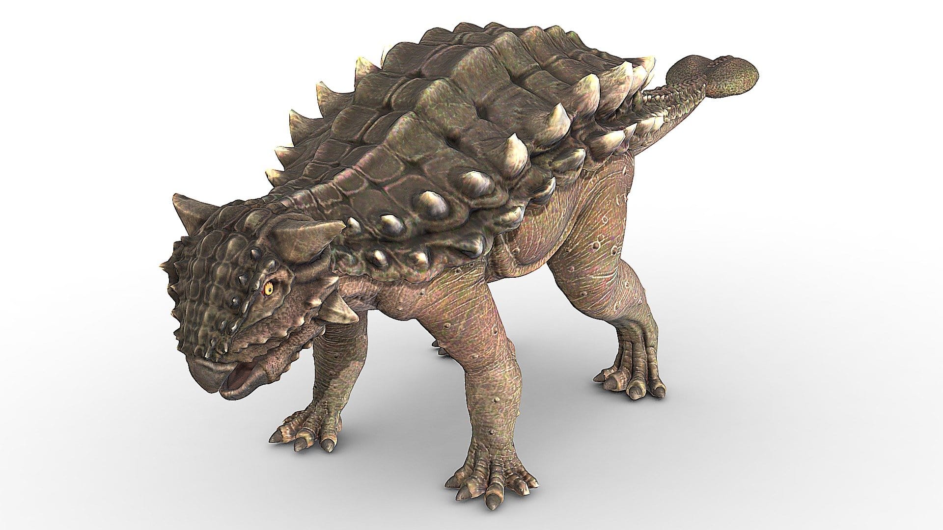 Ankylosaurus