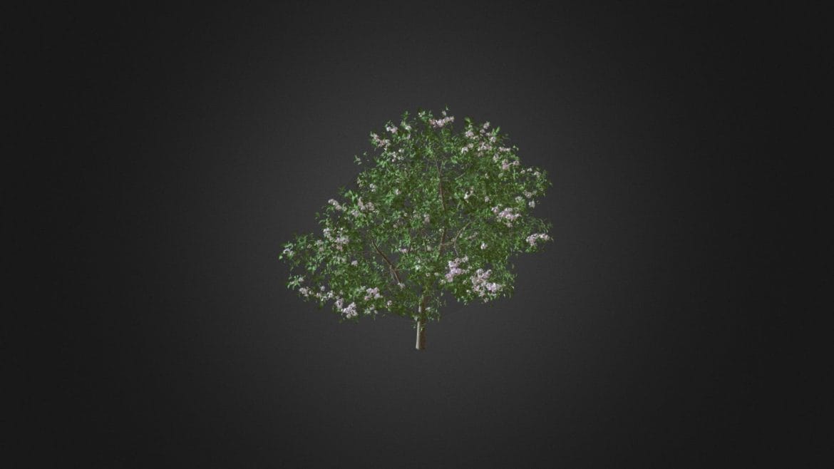 apple tree with flowers 3d model 37m