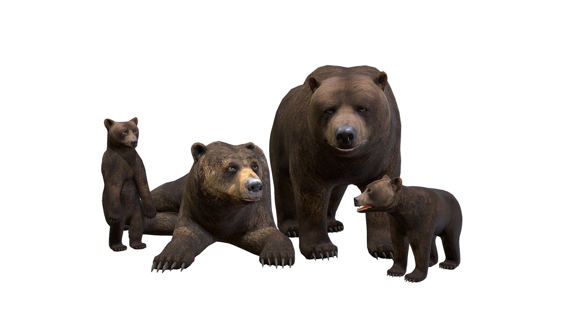 Bear Family