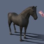Black Horse