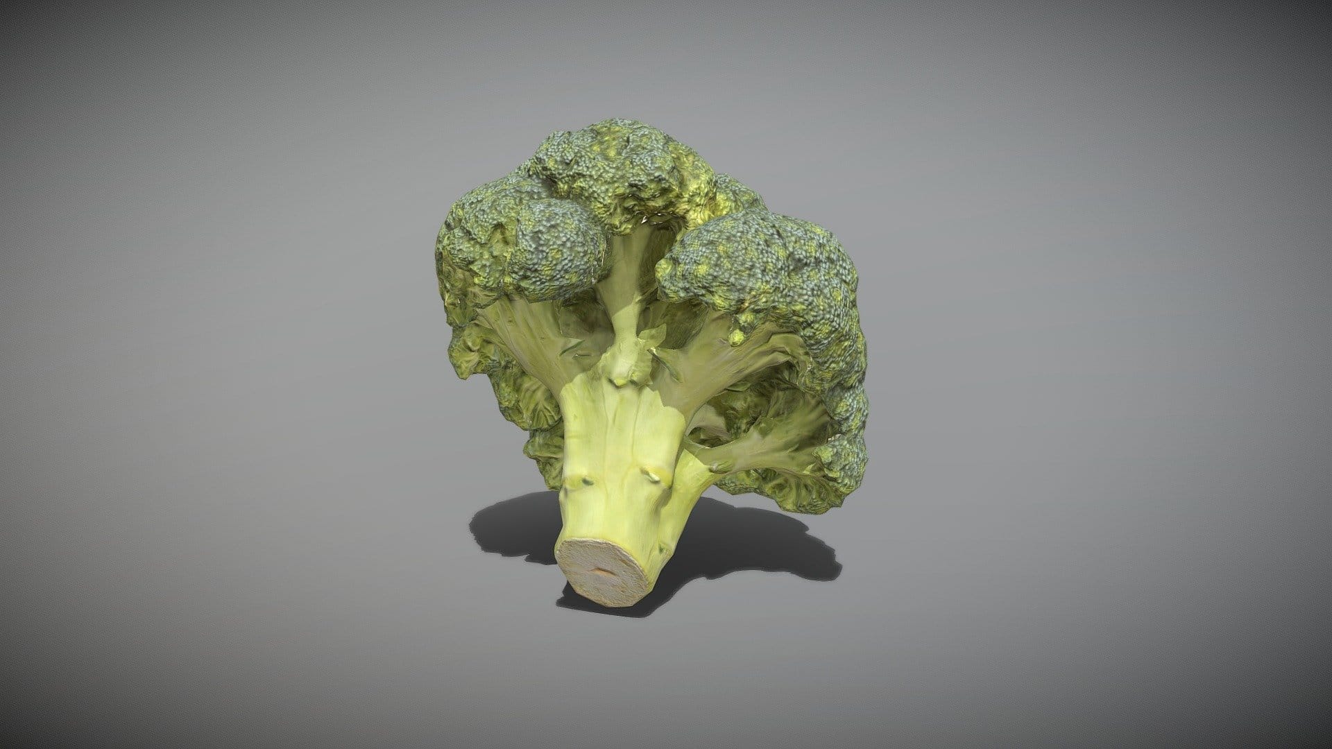 Cob of broccoli 27