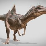 concavenator corvovatus 3d model