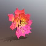 Desert Flower