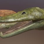 extinct animals pack 3d model