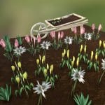 Florist Garden