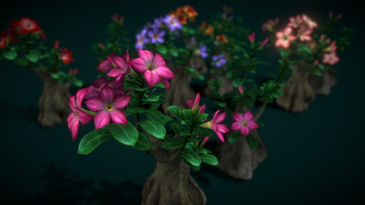 flower adenium 3d model