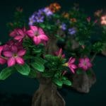 Flower Adenium