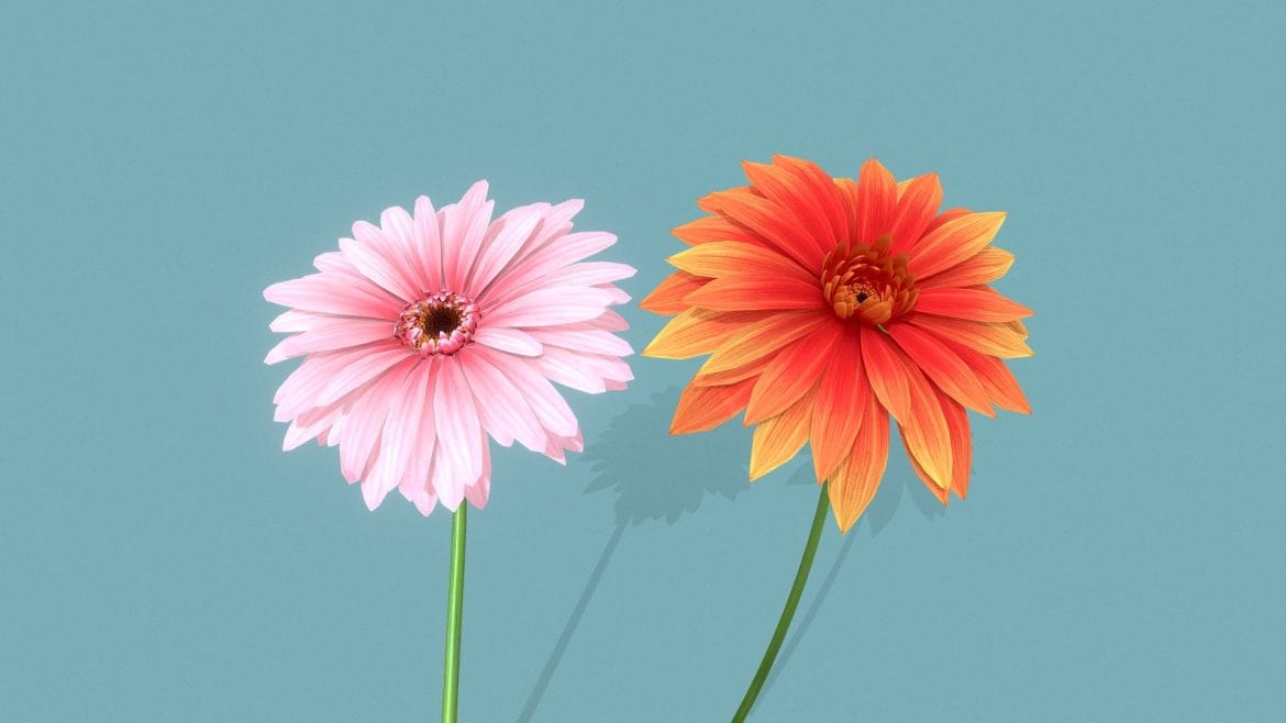 flower blossom 3d model