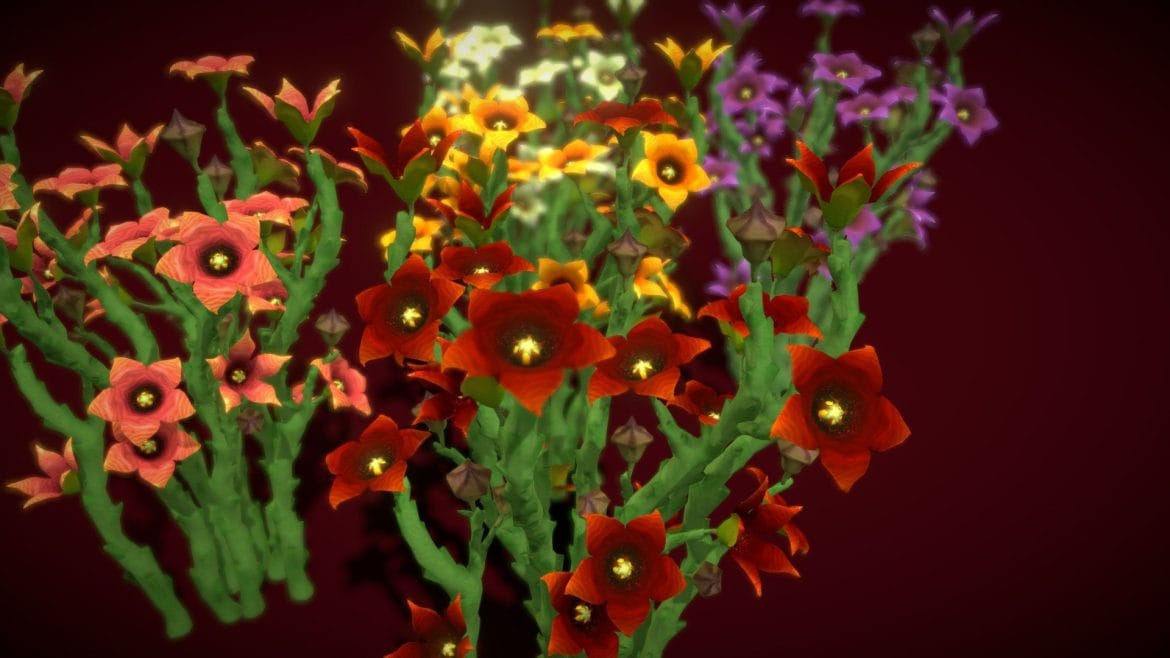 flower caralluma socotrana 3d model