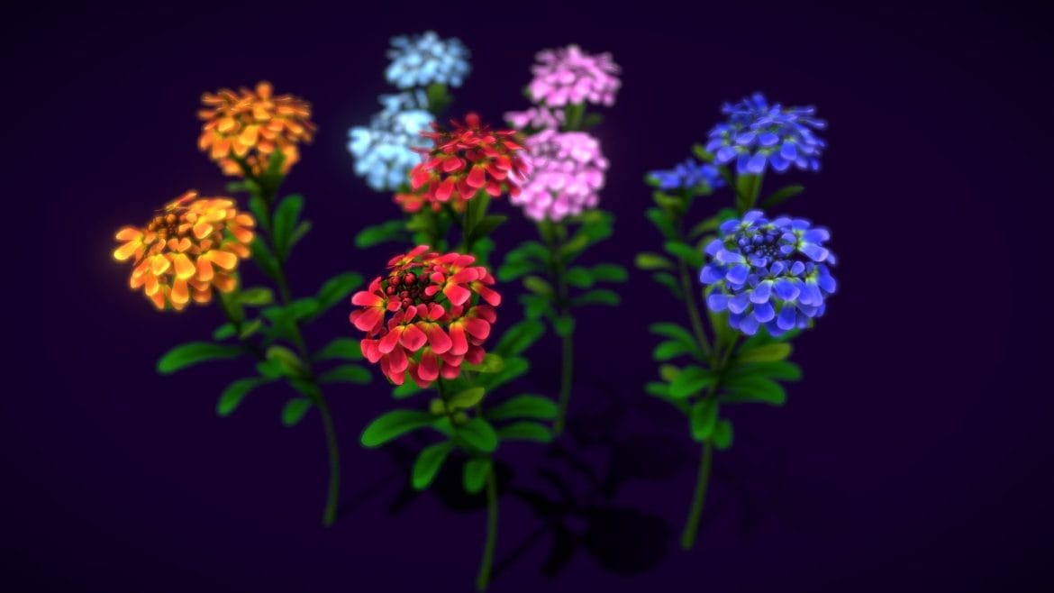 flower gibraltar 3d model
