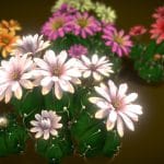 flower gymnocalycium horstii 3d model