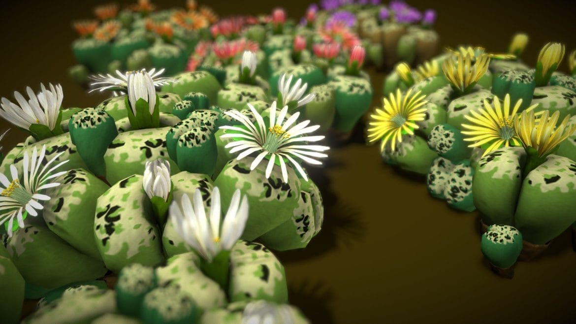 flower lithops 3d model