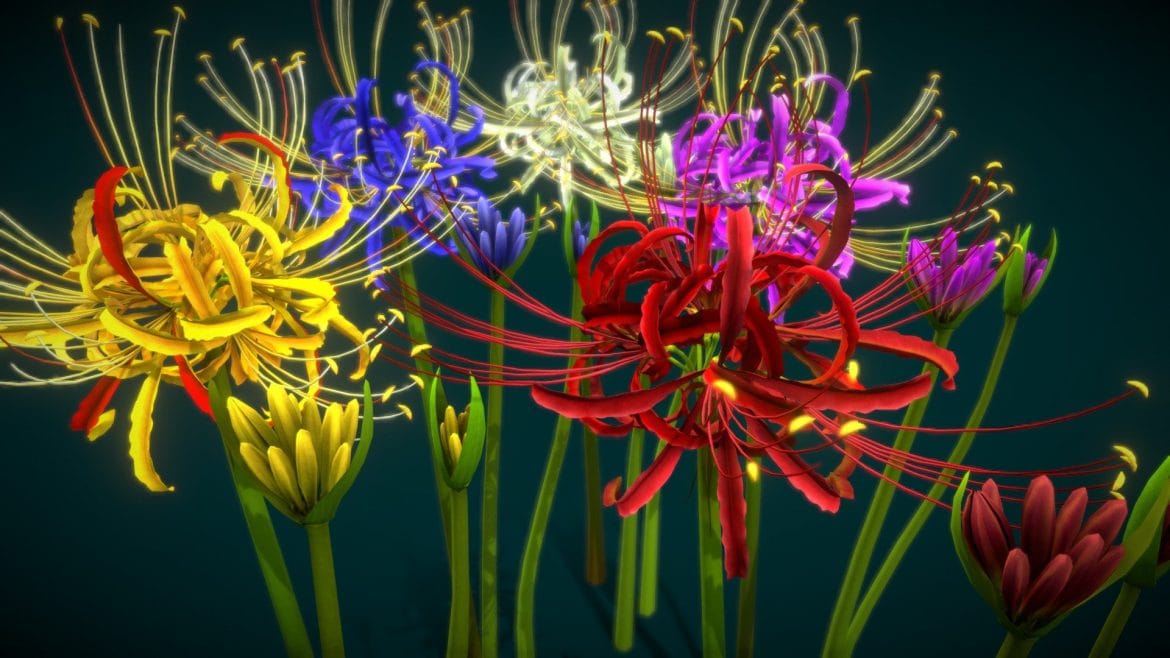 flower lycoris radiata 3d model