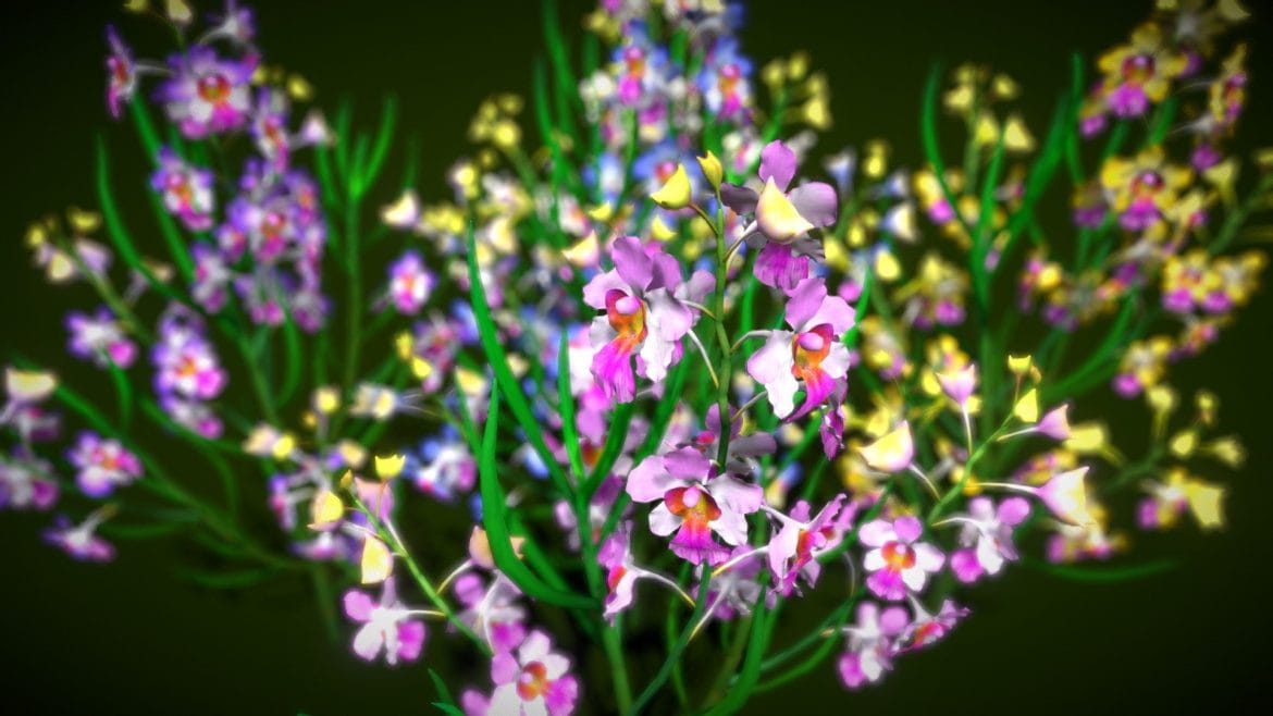flower miss joanquim 3d model