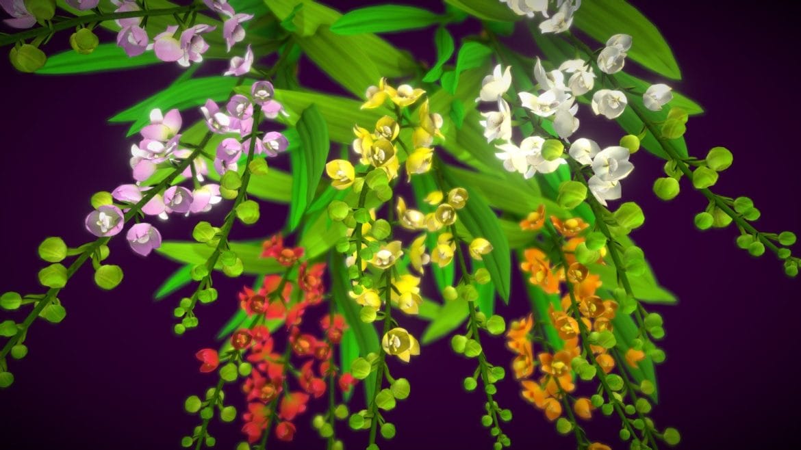 flower orchid 3d model