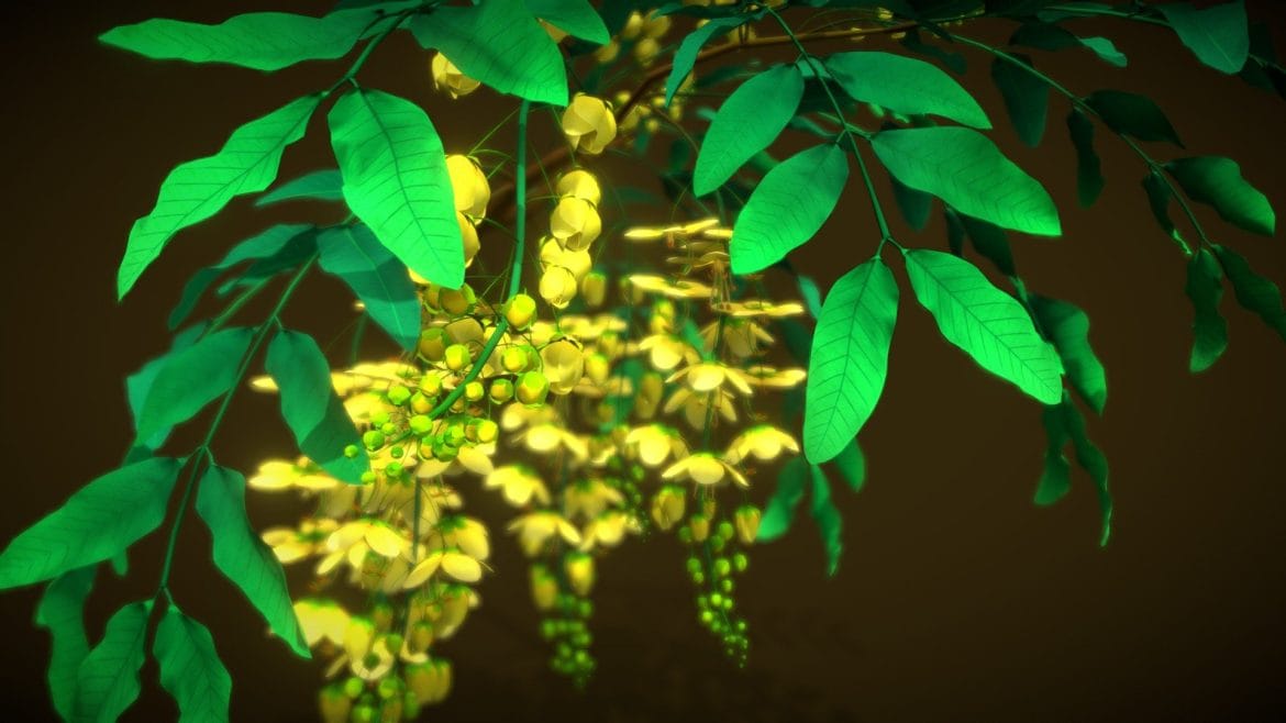 Flower Osaka 3d Model - Flower Osaka 3D model optimized for Unity game engine, featuring high-quality textures and multiple color variations for mobile-optimized scenes.