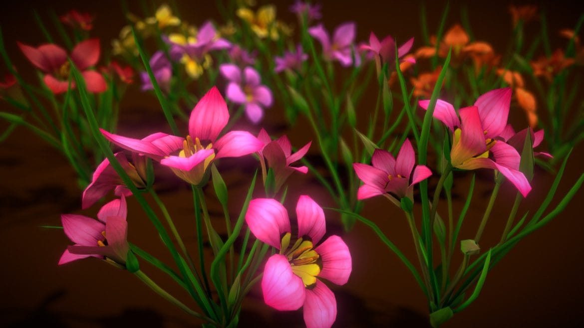 Romulea Subfistulosa Flower 3d Model - Flower Romulea Subfistulosa 3D model with vibrant petals for game engines
