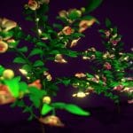 flower rumdul 3d model