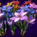 Flower Showy Autumn Crocus