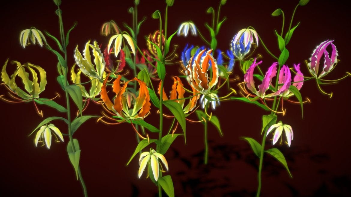 Flower Zimbabwe deep3dsea