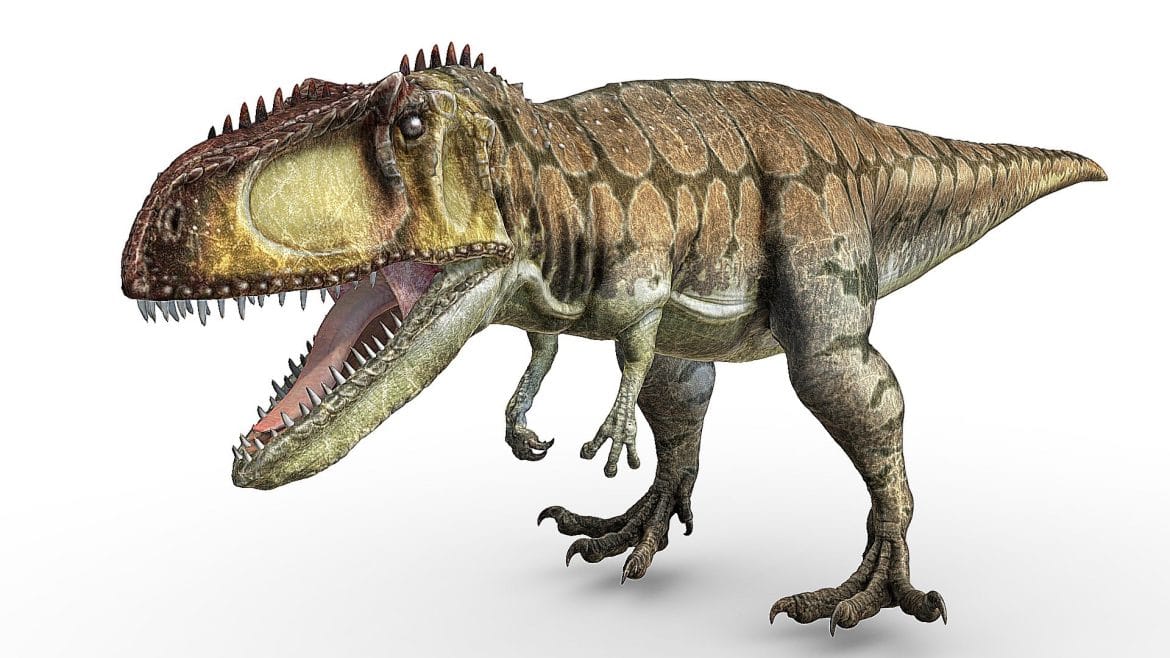 giganotosaurus 3d model