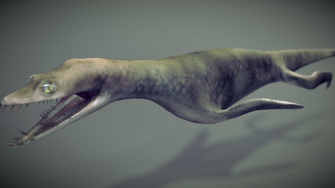 lariosaurus 3d model