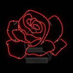 Neon Rose