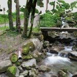 River and small bridge in the nature