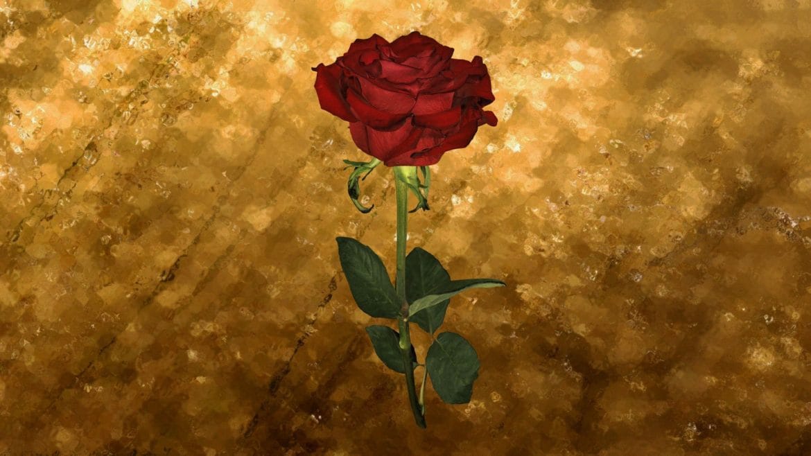 rose 3d model