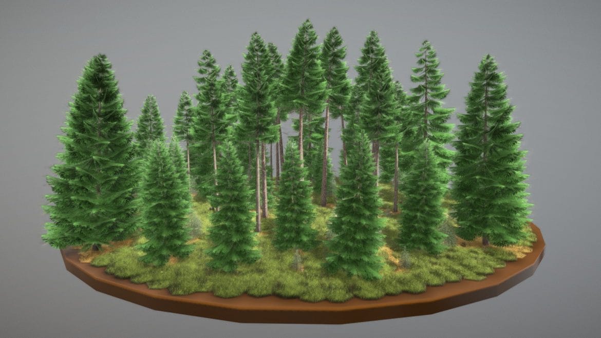spruce forest fichtenwald 3d model