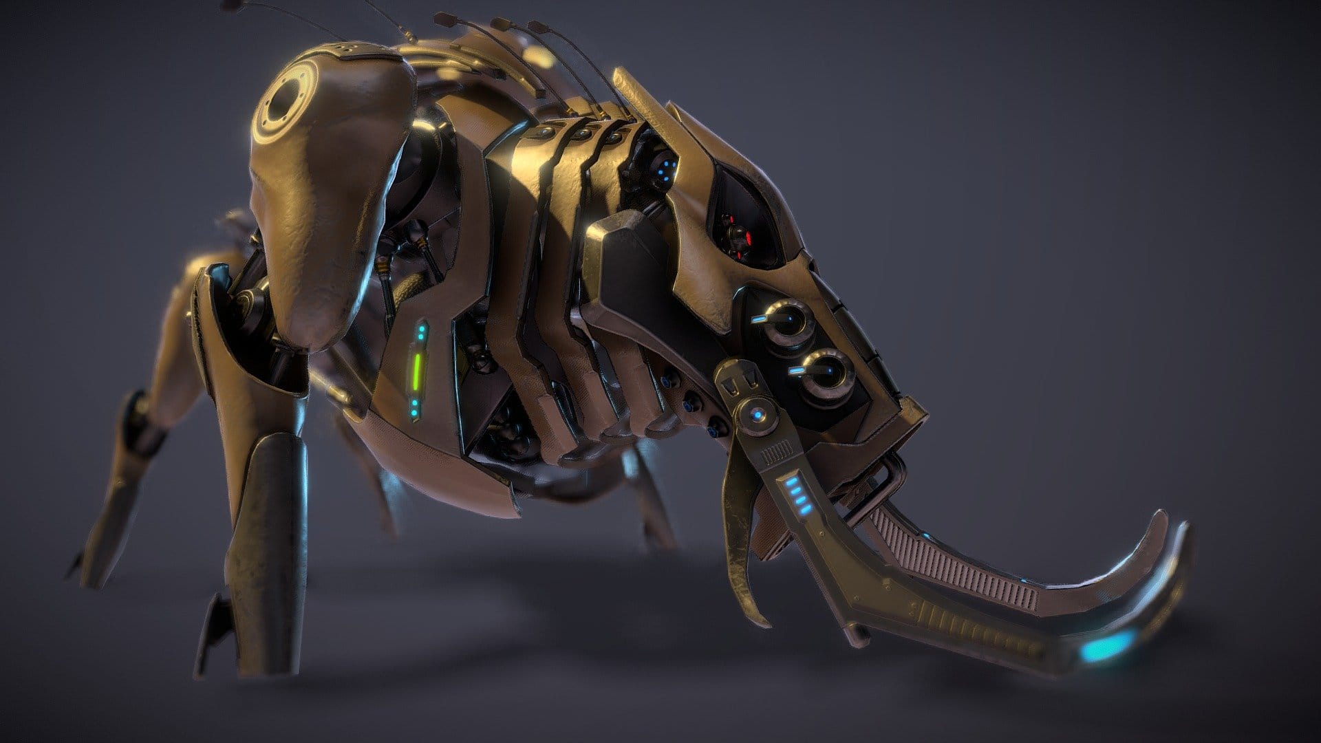Terminator warthog