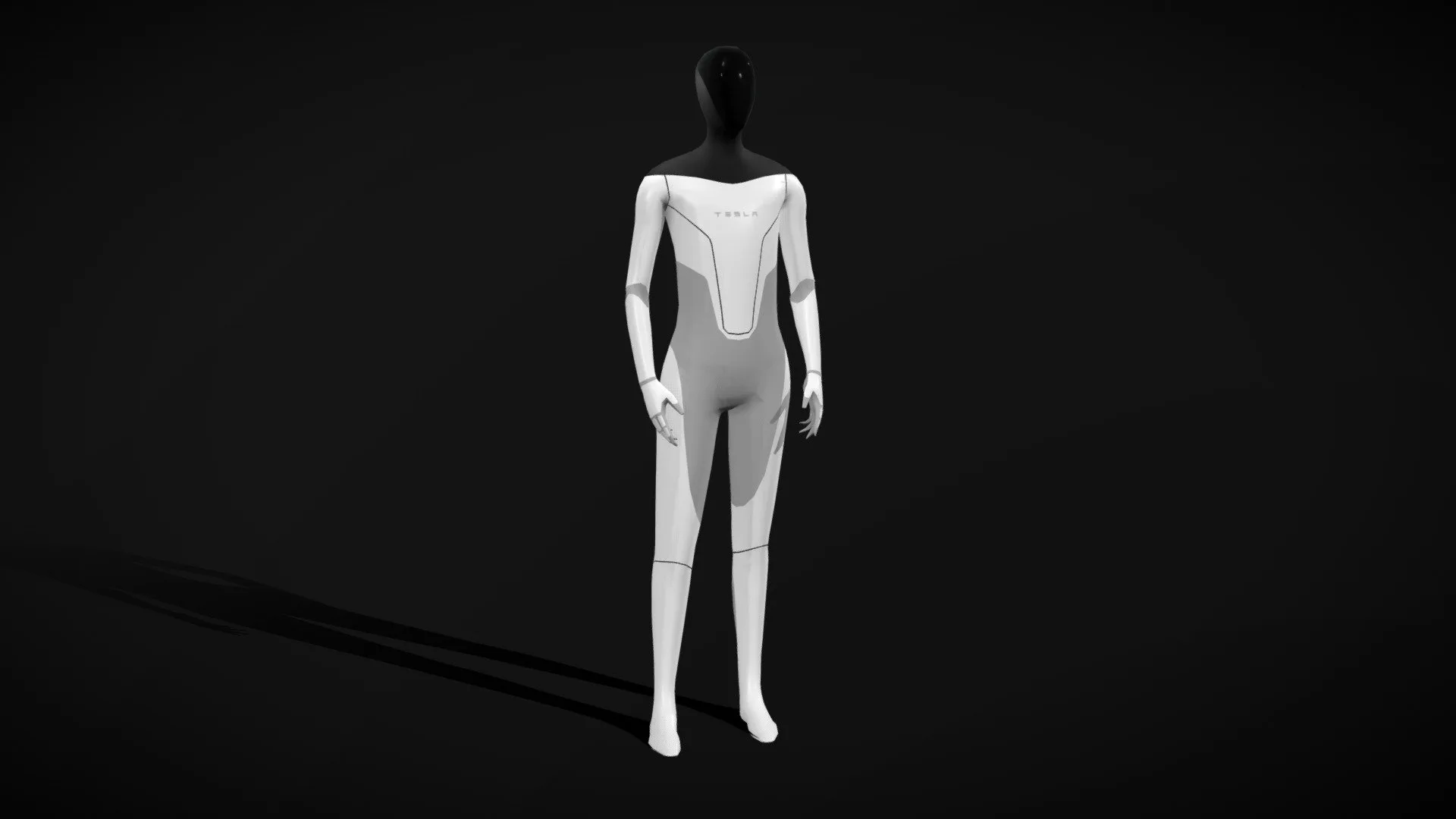 Tesla Bot – Low Poly