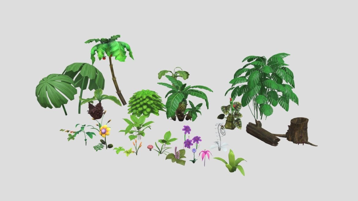 tropical plants flower 3d model