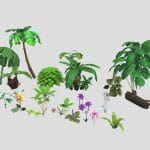 Tropical Plants flower