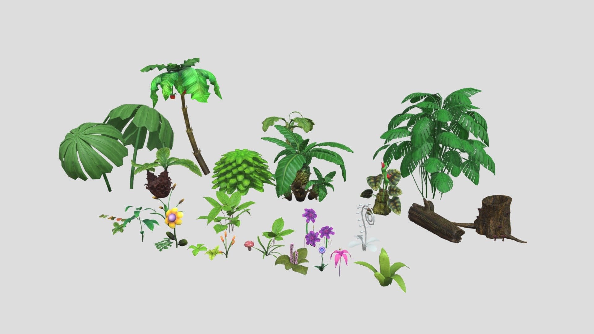 Tropical Plants flower