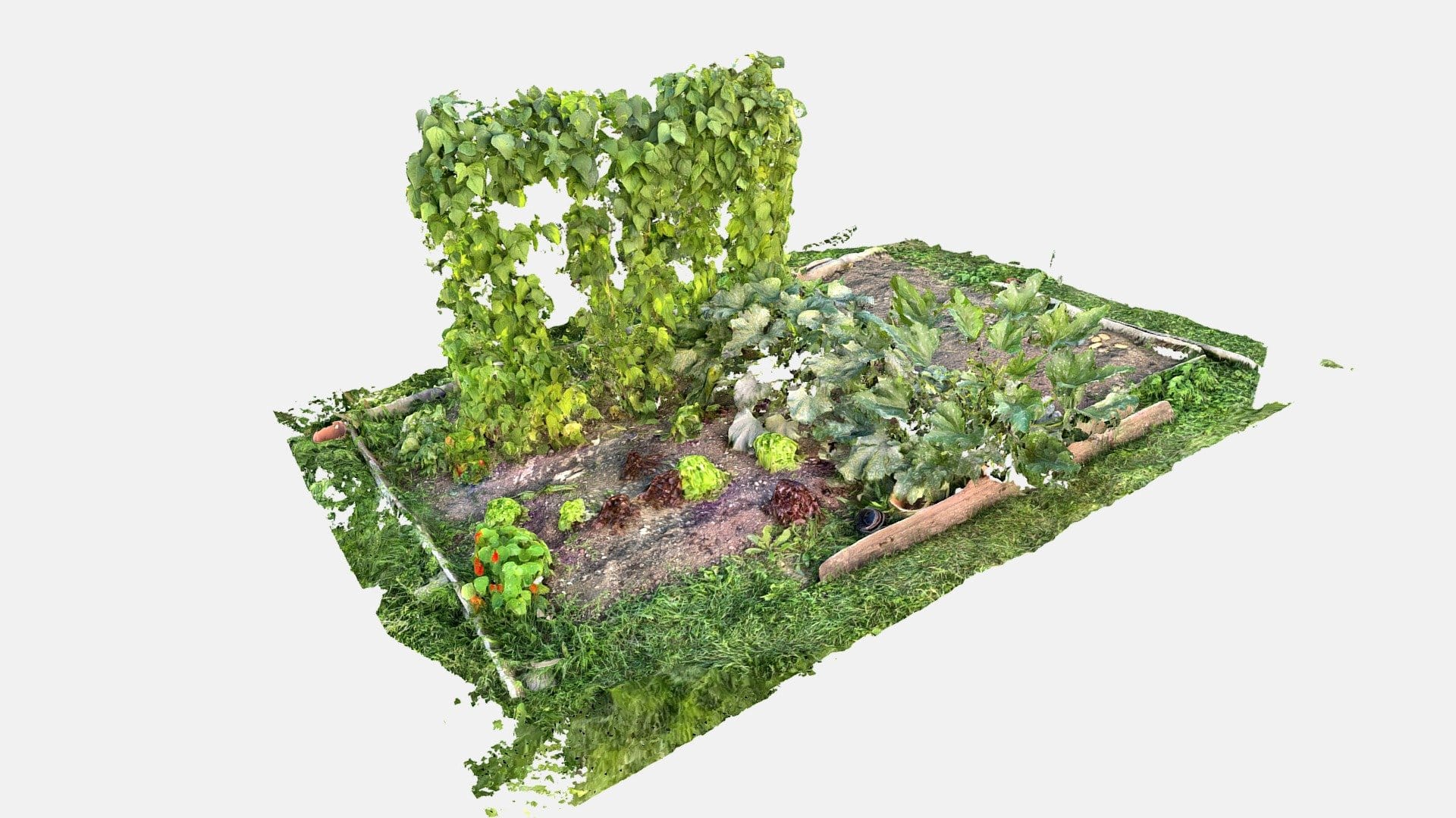 Vegetable garden