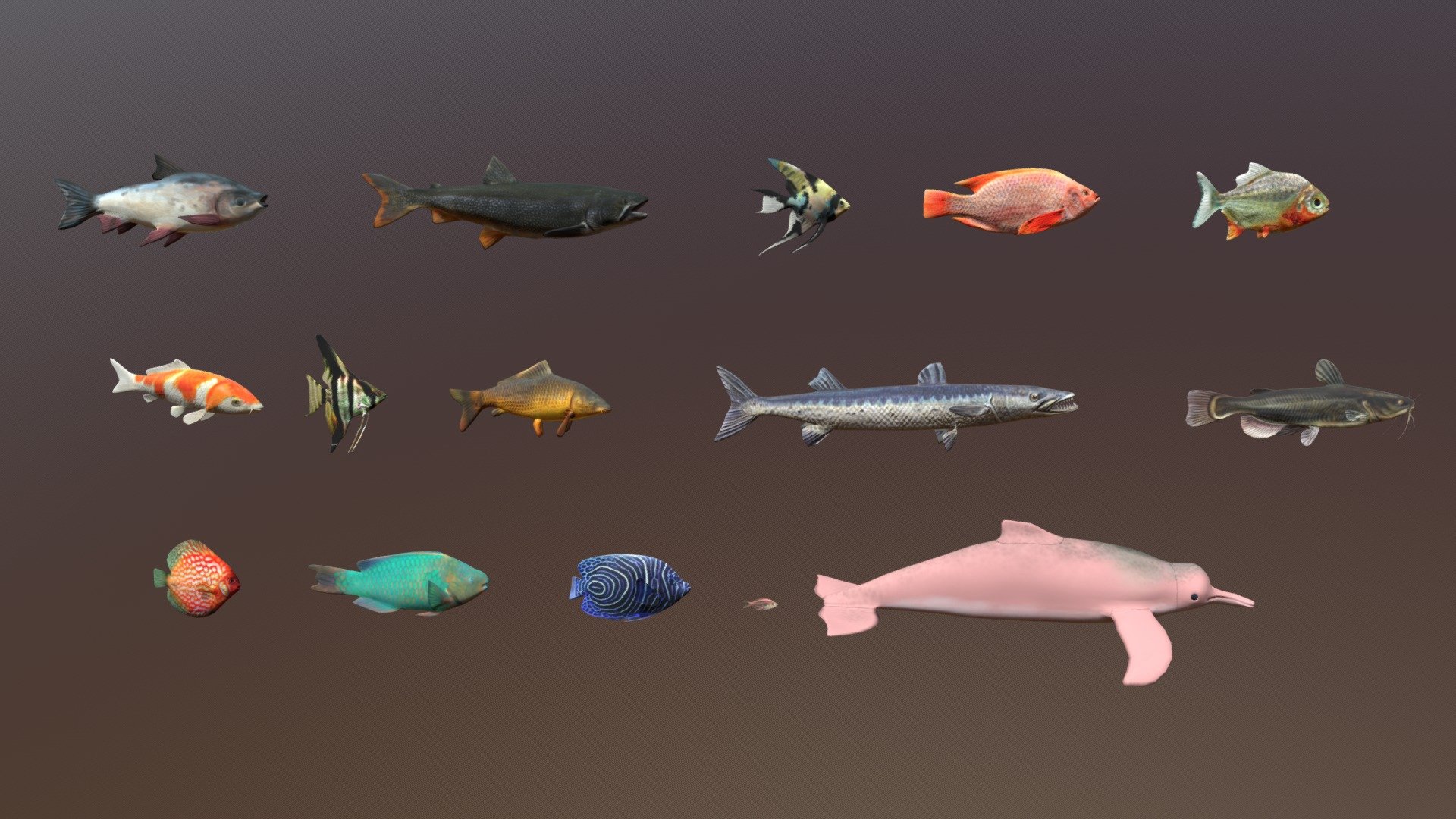 15 Freshwater Fish Pack – Low Poly Animals
